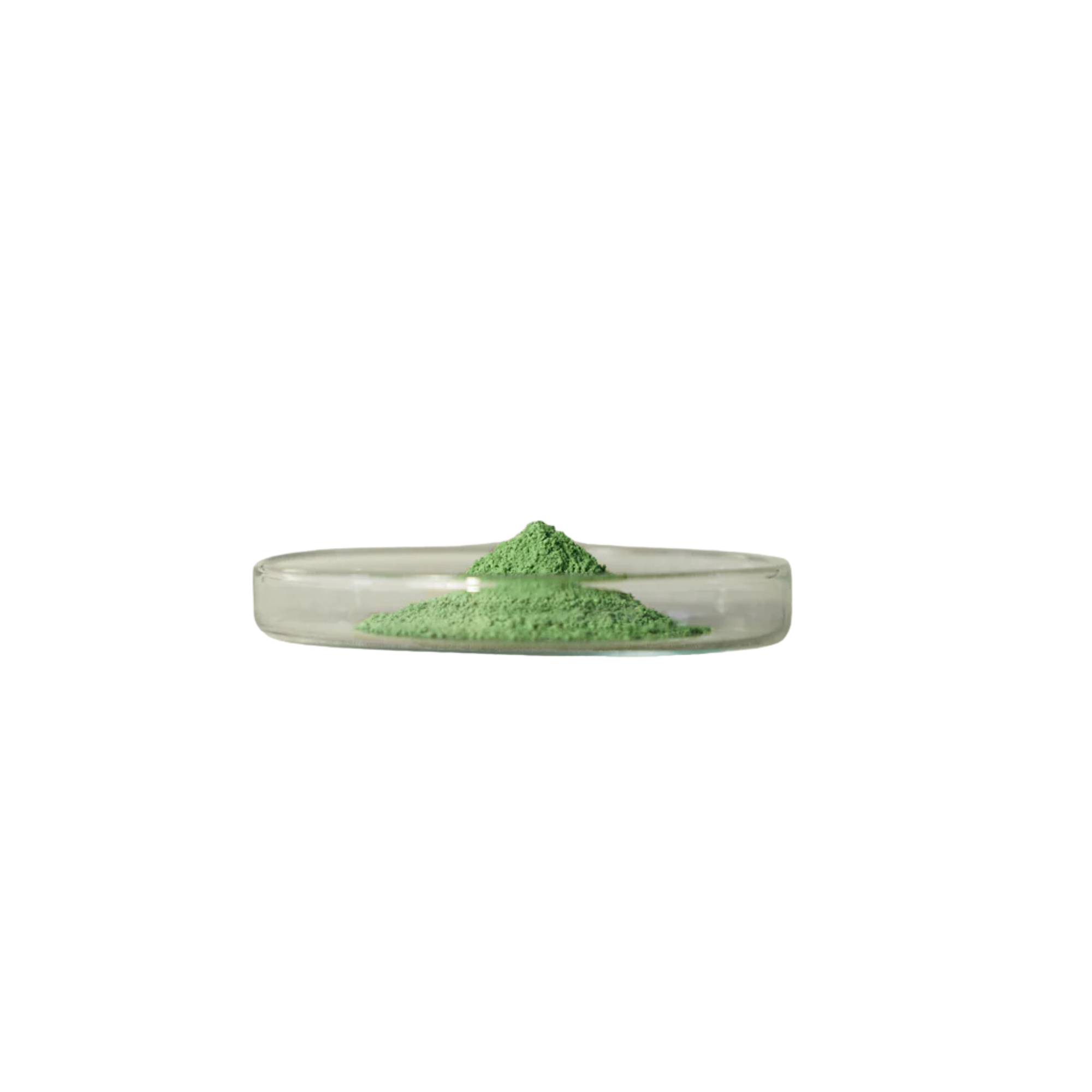 Matchaeologist - Meiko Ceremonial Matcha – MATCHA ALLONGÉ